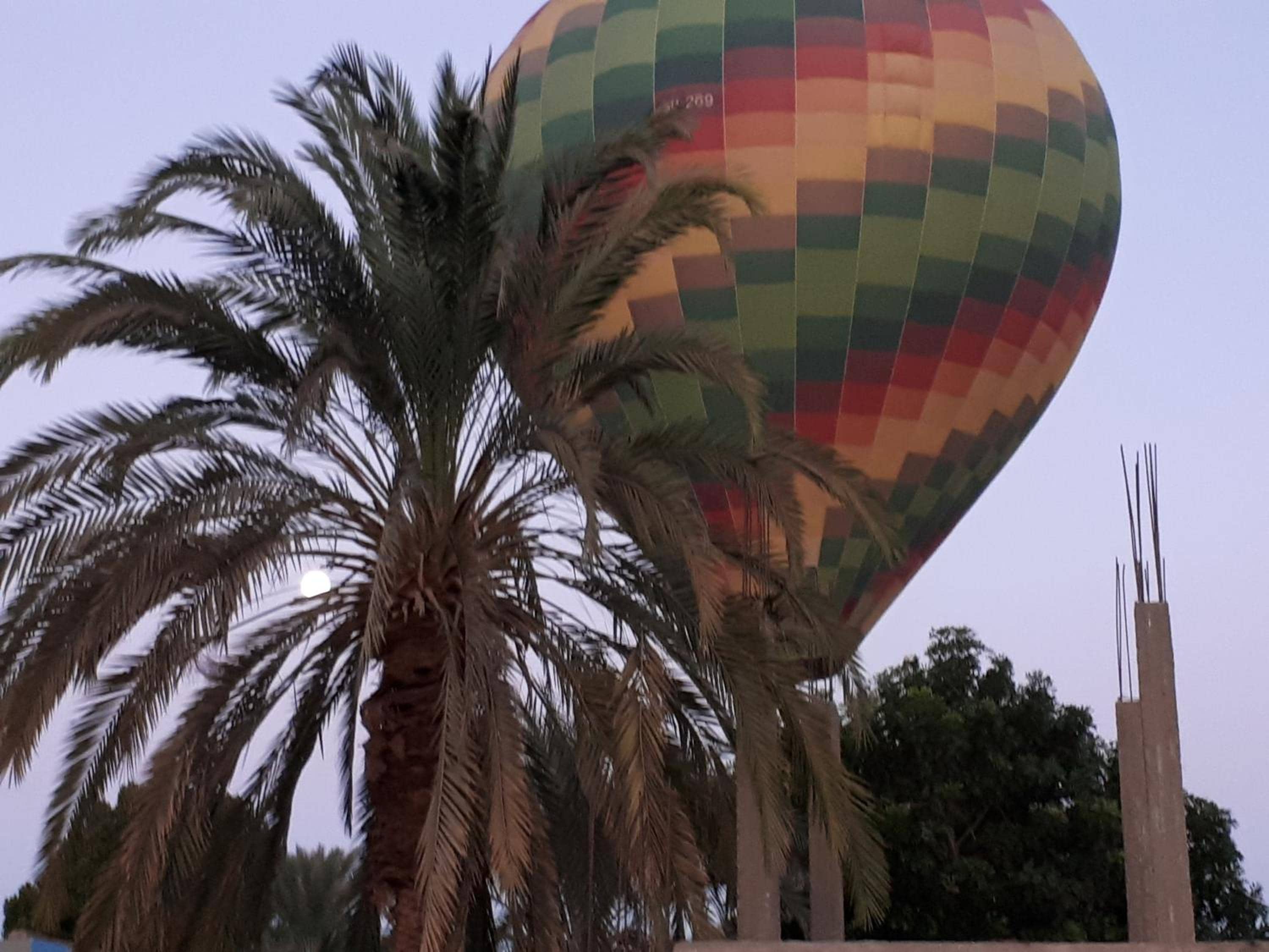 Sunflower Guest House Luxor West Bank — 3