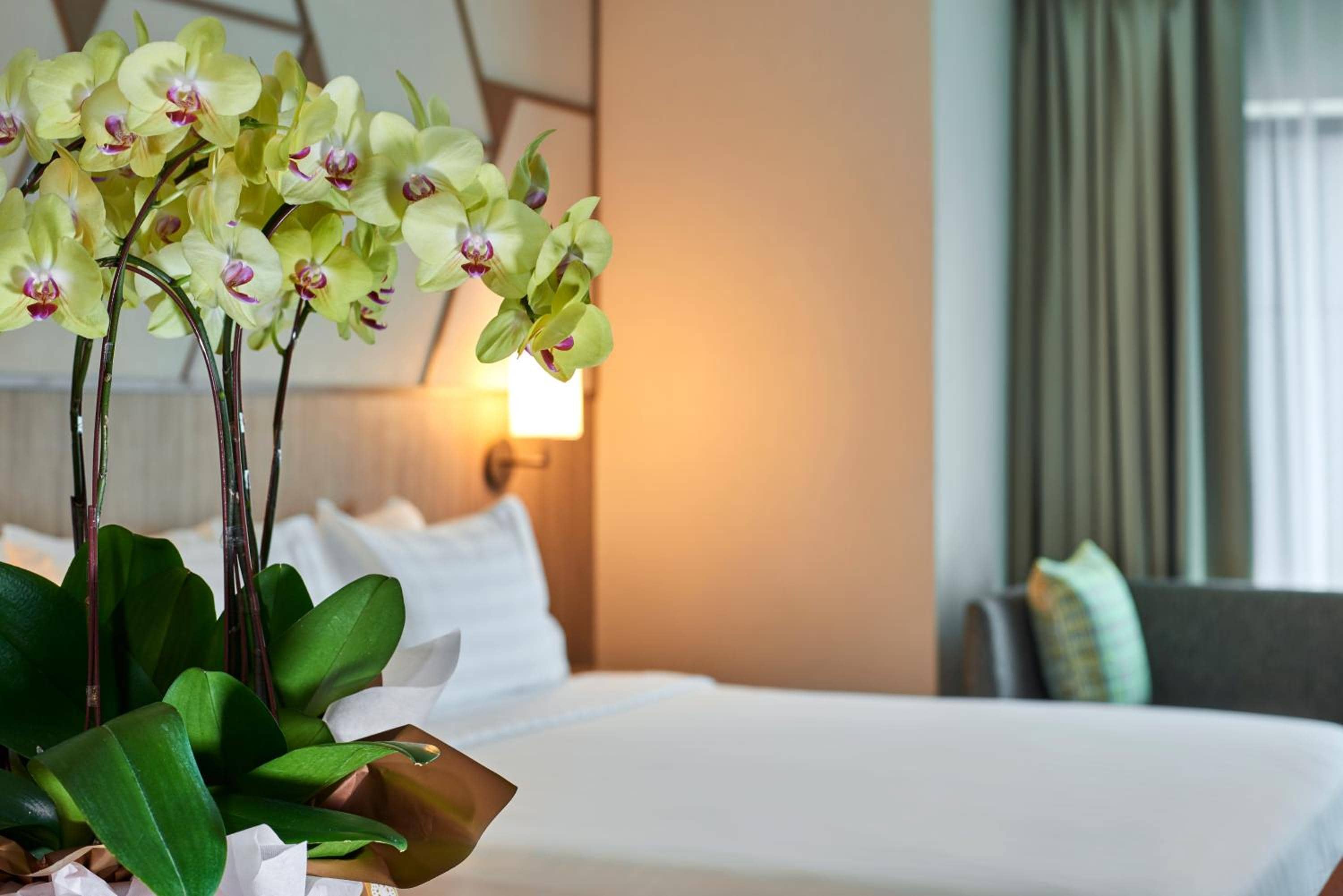 Grand Mercure Kuala Lumpur Bukit Bintang — 5