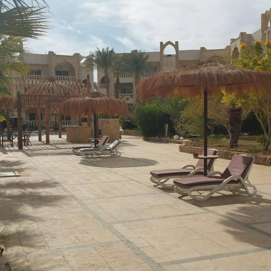 One-bedroom apartment S2 in Vip Zone Sunny Lakes — 5