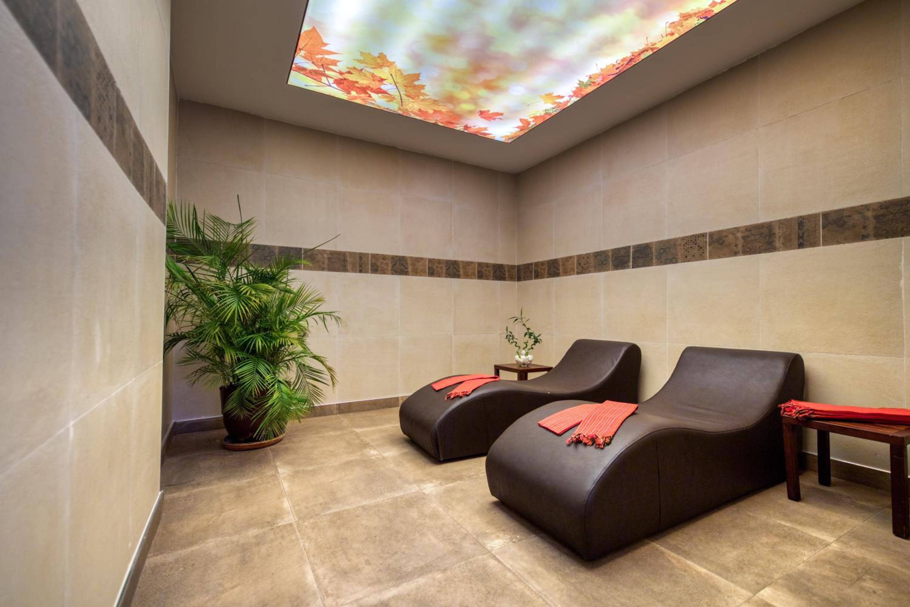 Sealife Lounge - Adult only — 3