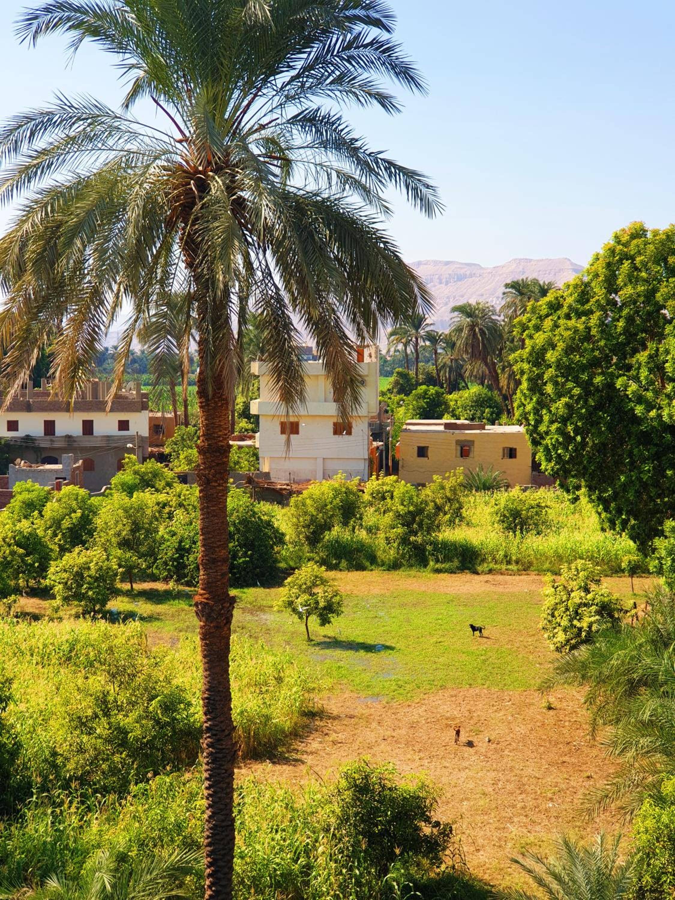 Farida Apartments — 4