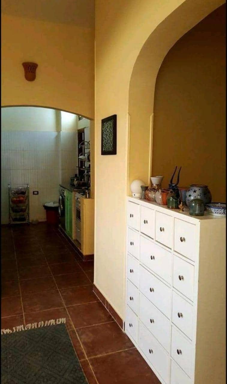 Habibi Nubian Guest House-Nubian Hospitality — 2