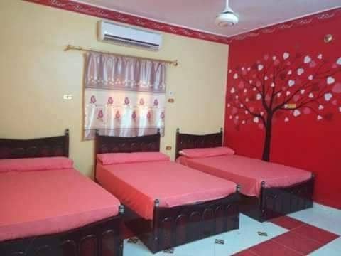 El-amin Guest House — 4