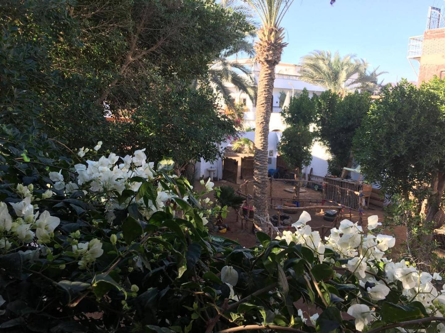 Sunrise Dahab lodge — 3