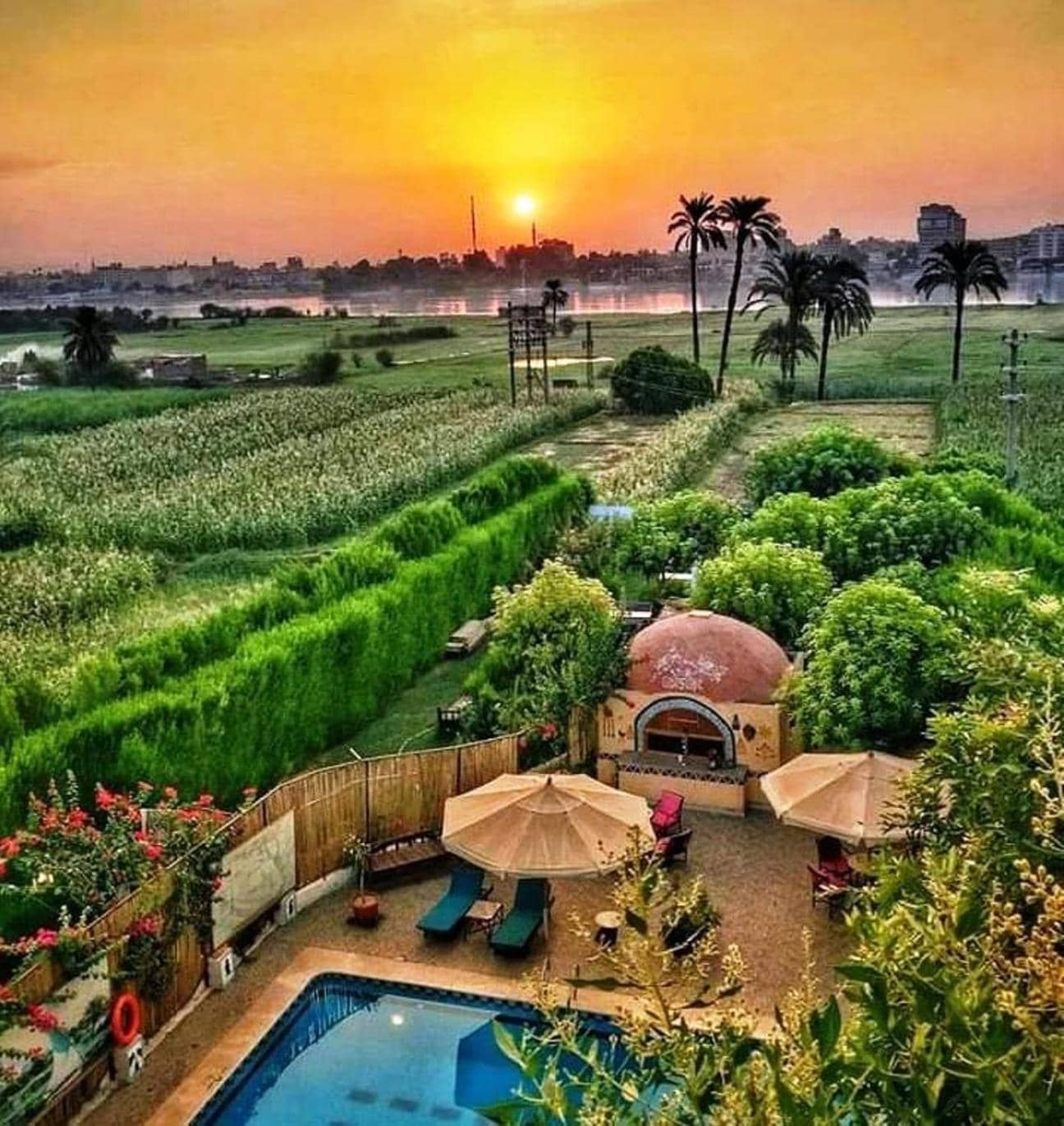 Nile Compound — 3