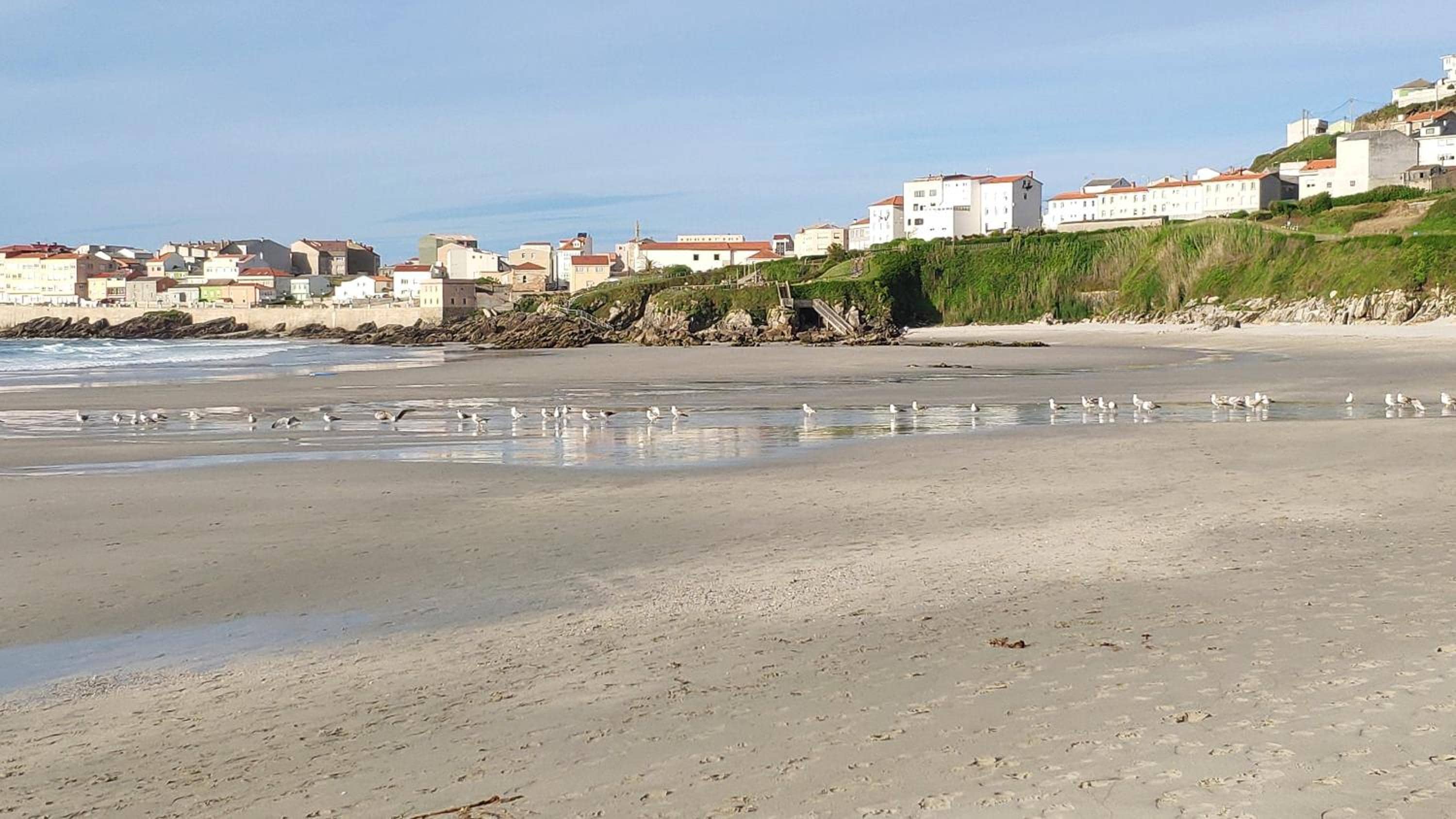 Ribadomar Caion — 2