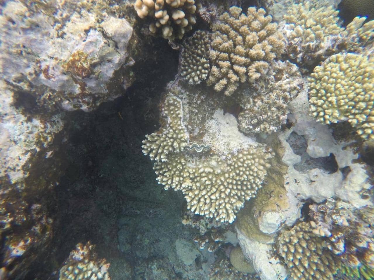 Star Of Dahab Hotel — 3