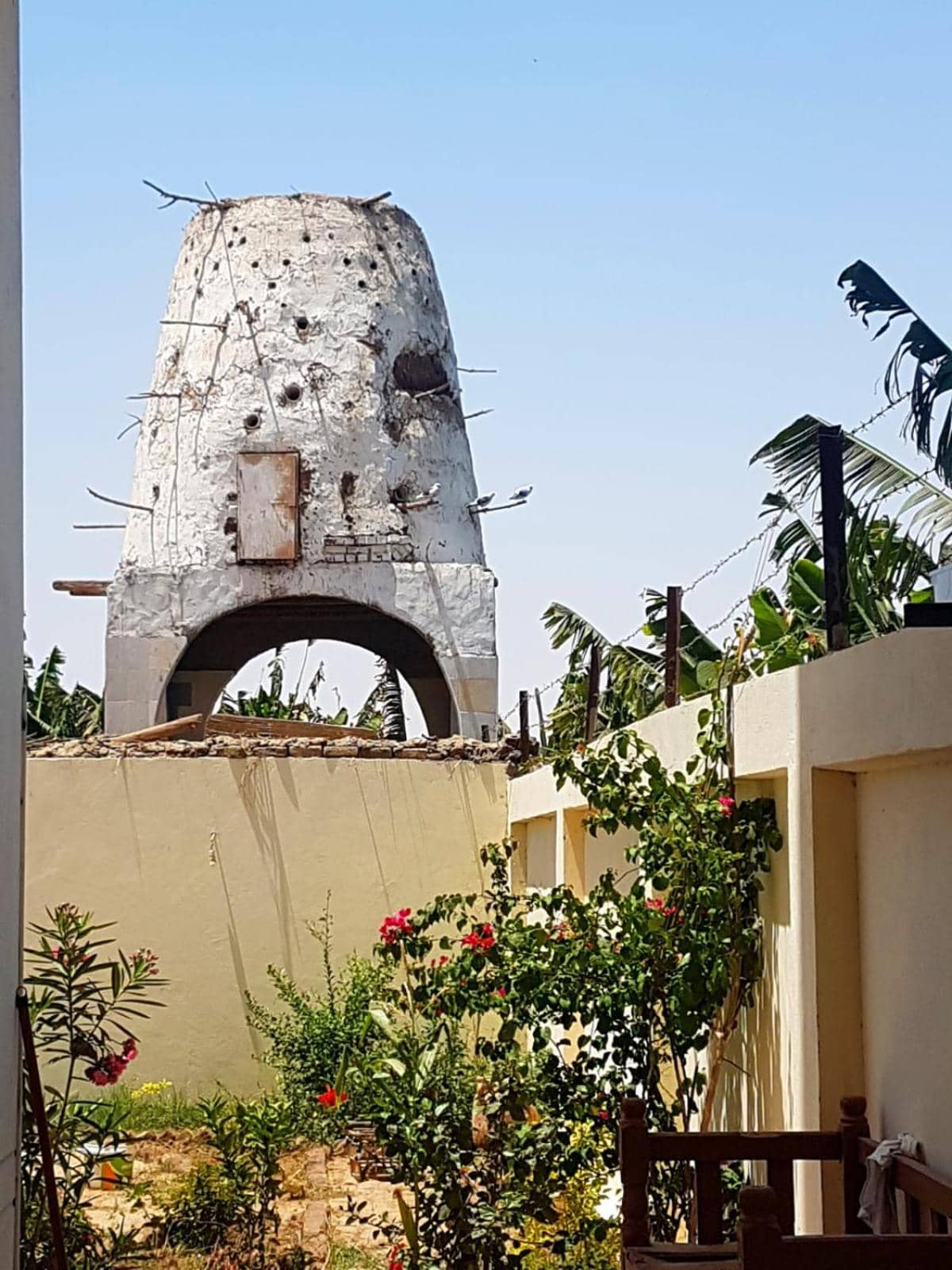 Elsanosy Family Guest House - Luxor — 5
