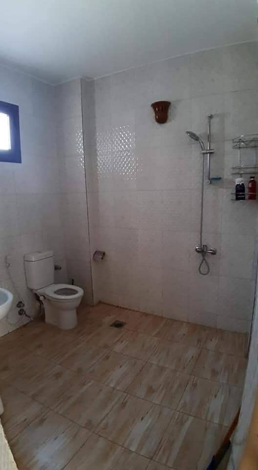 Habibi Nubian Guest House-Nubian Hospitality — 5
