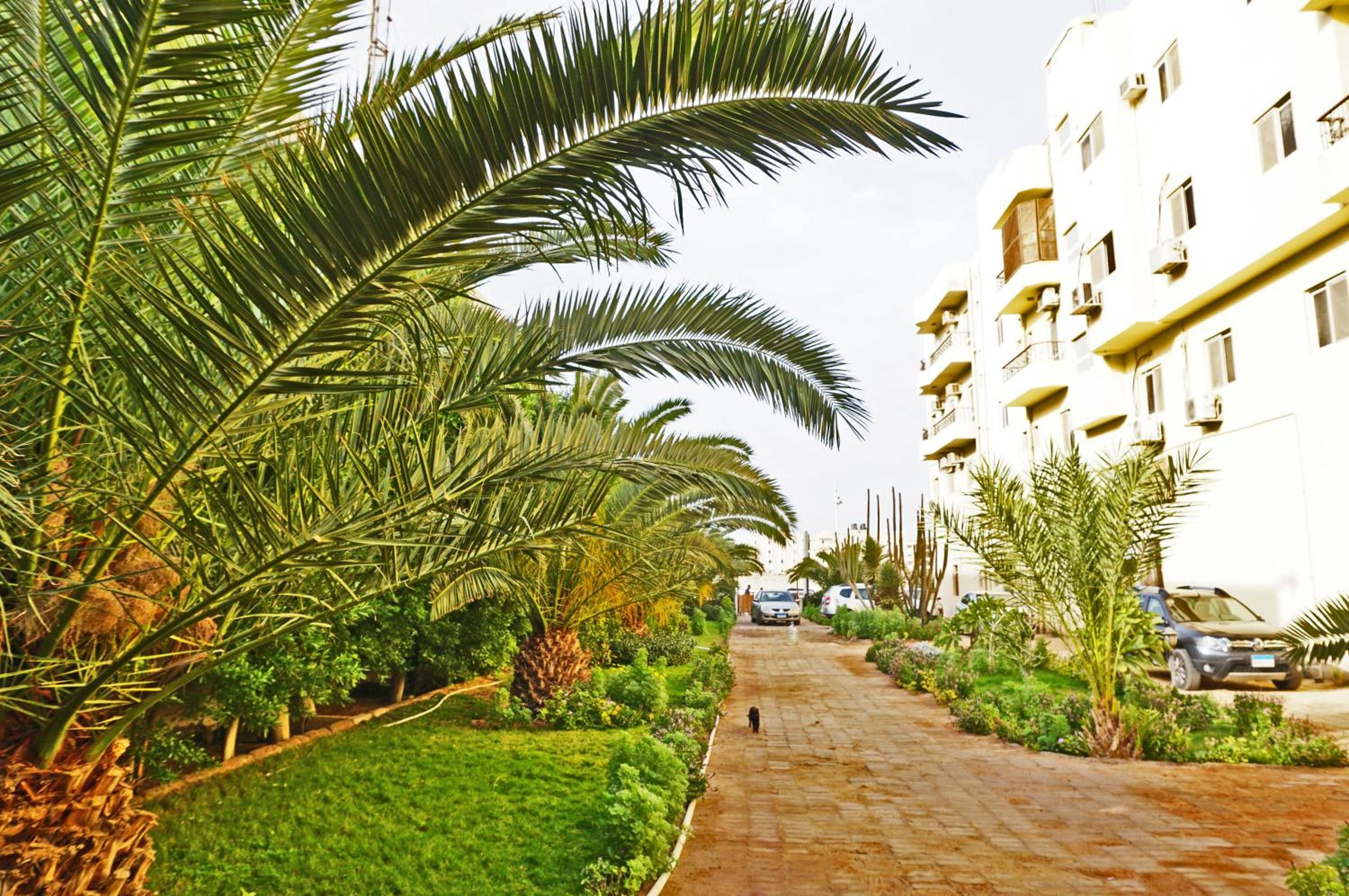 The Touristic Promenade Apartment — 3