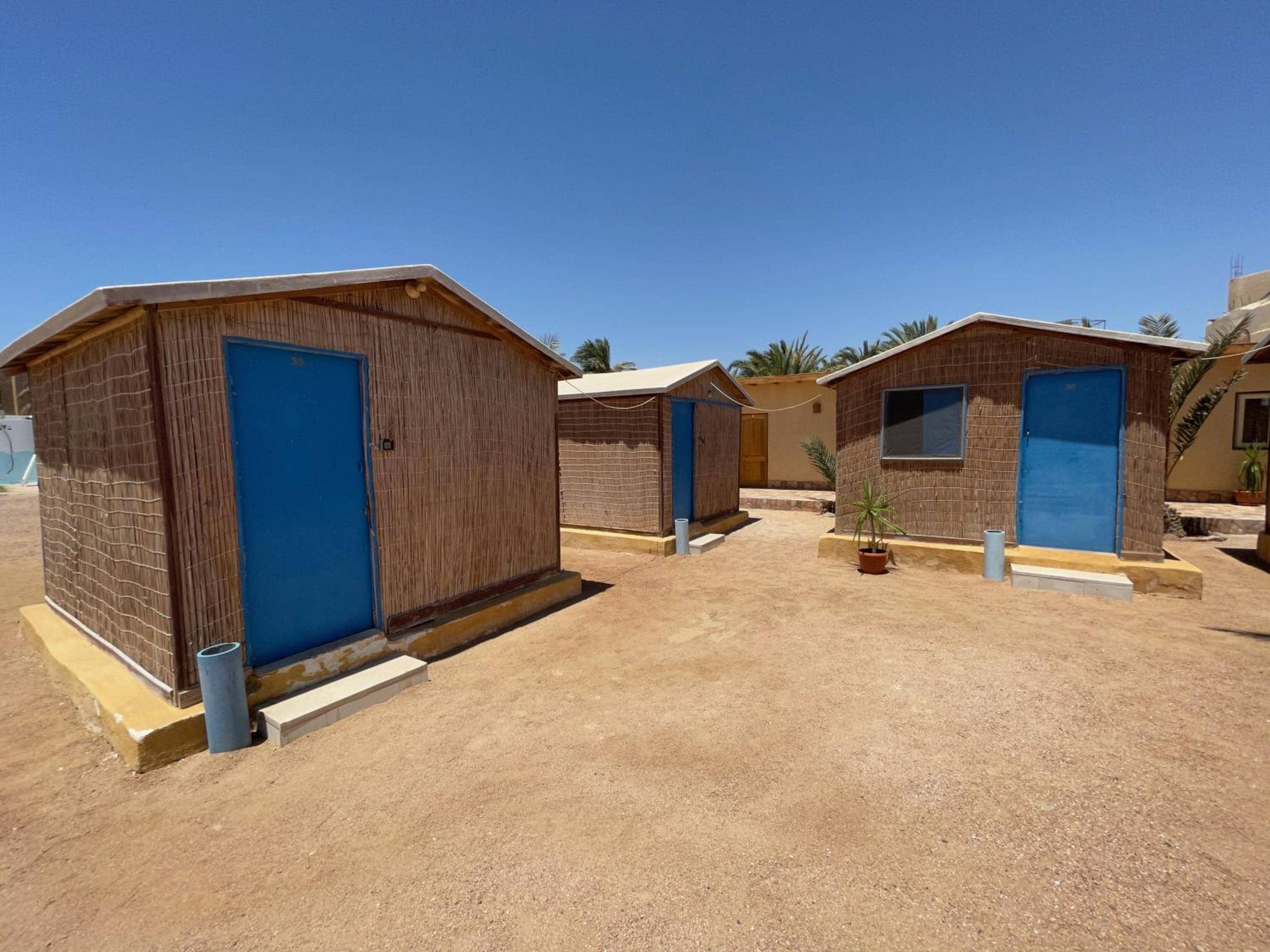 Dolphin Camp — 5