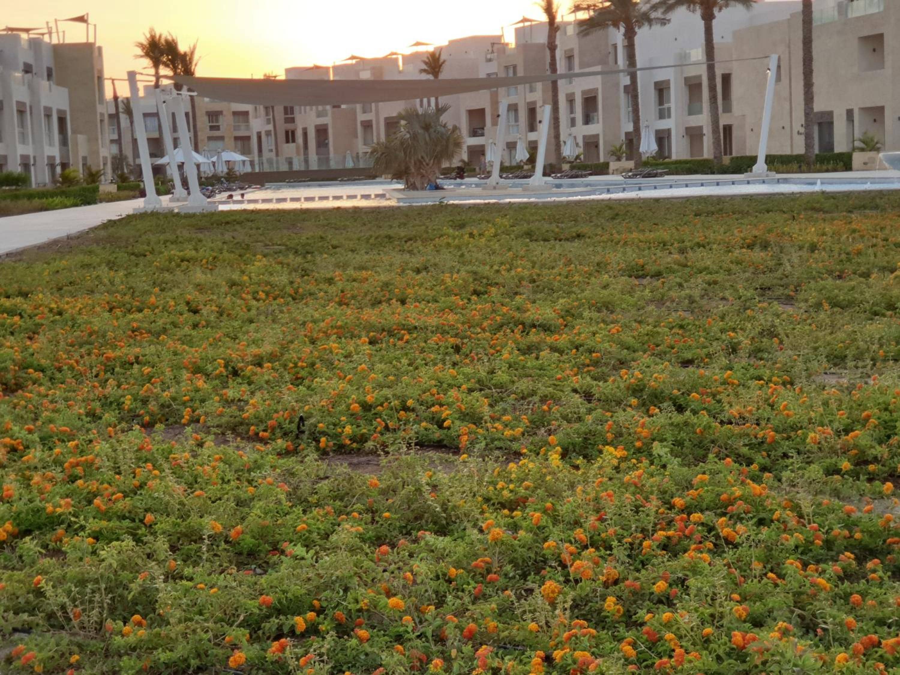 luxury apartment at Mangroovy El Gouna — 5