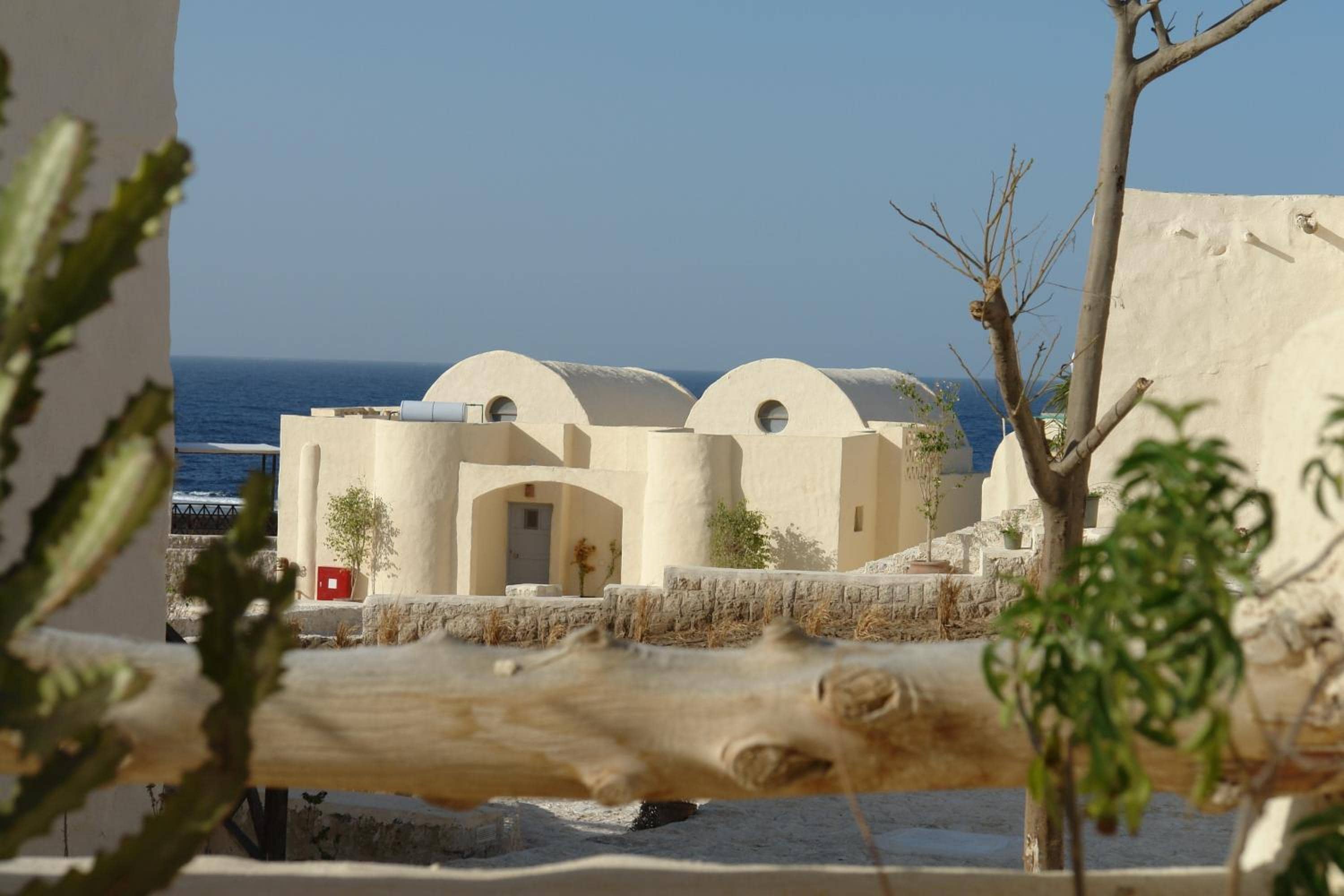 The Oasis Dive Resort — 2