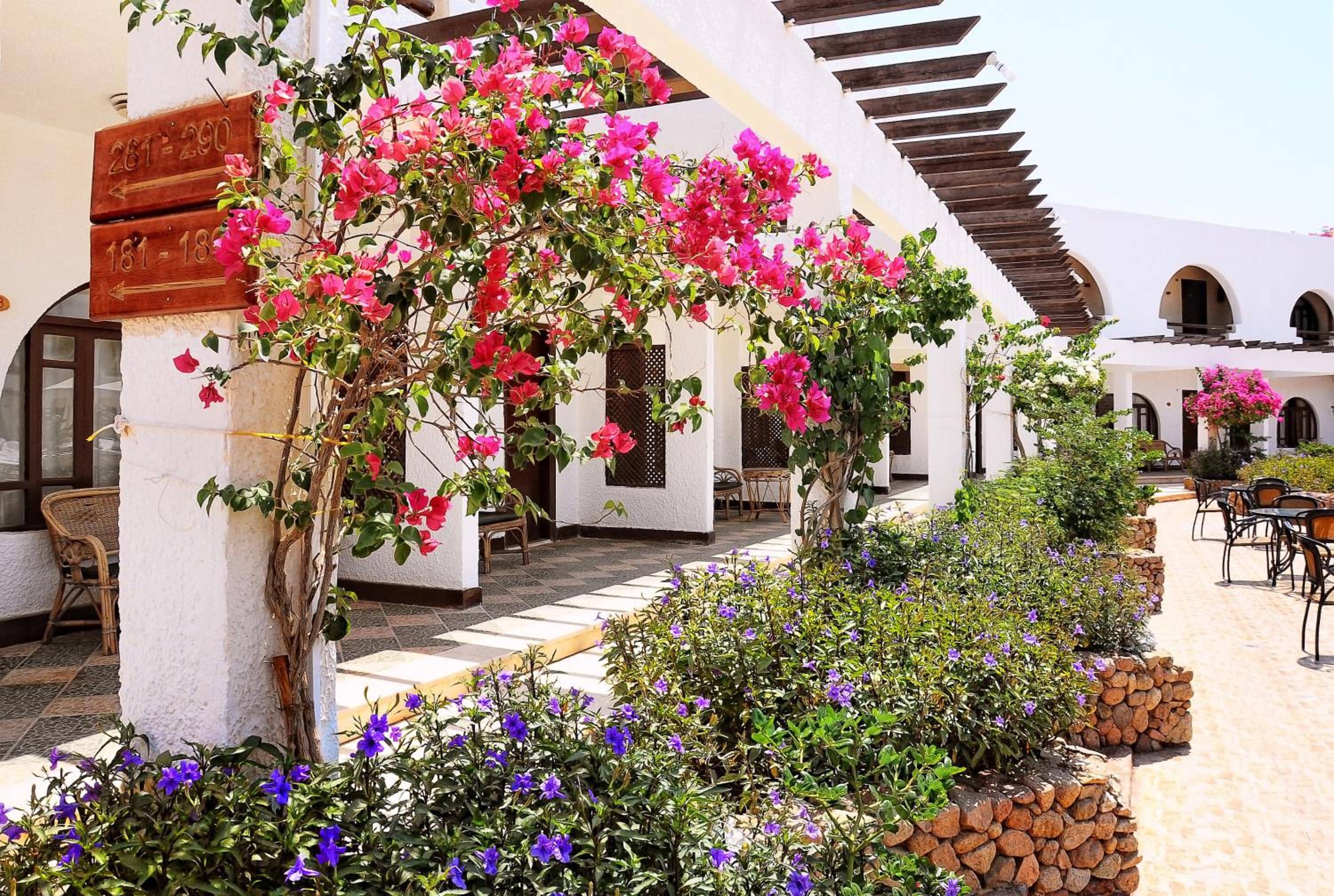 Aida Hotel Sharm El Sheikh — 4