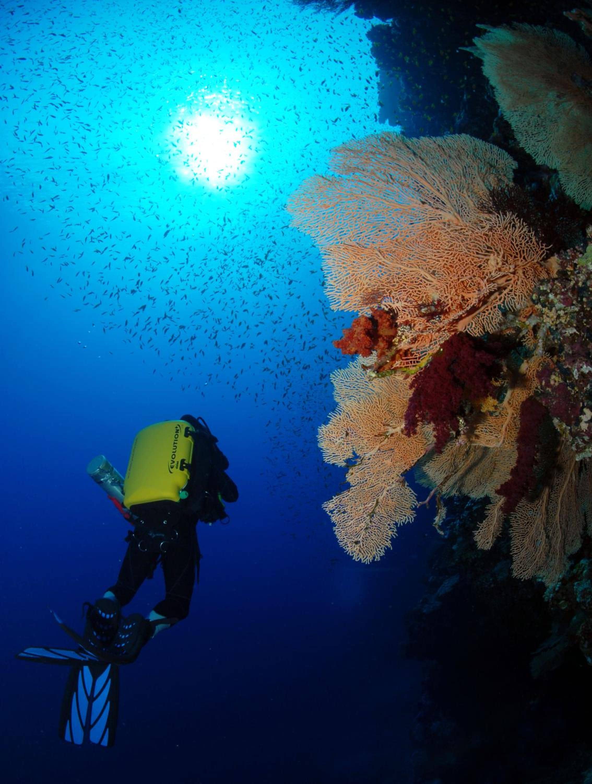 The Breakers Diving and Surfing Lodge Soma Bay — 5