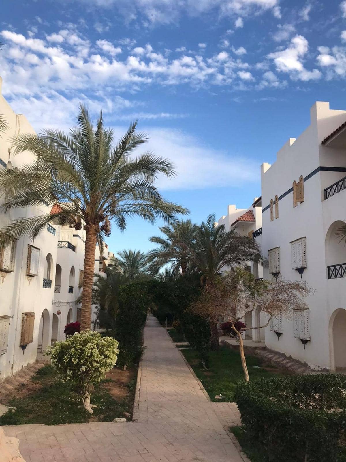 lovely one bedroom apartment within cozy compound including swimming pool, supermarket. perfect location at neama Bay with access to public transportation