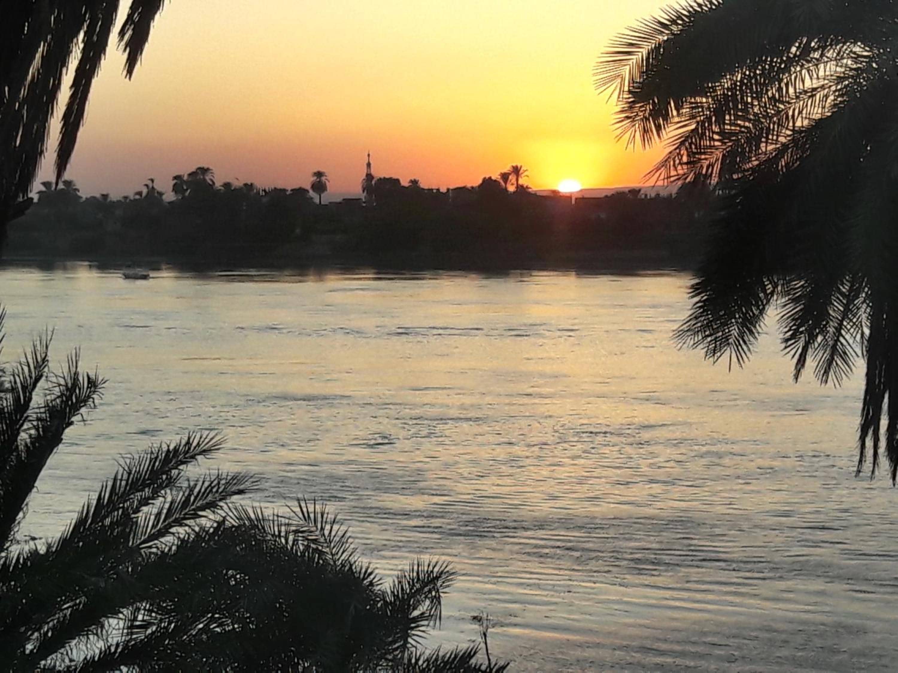 Villa Rose-Luxor — 2