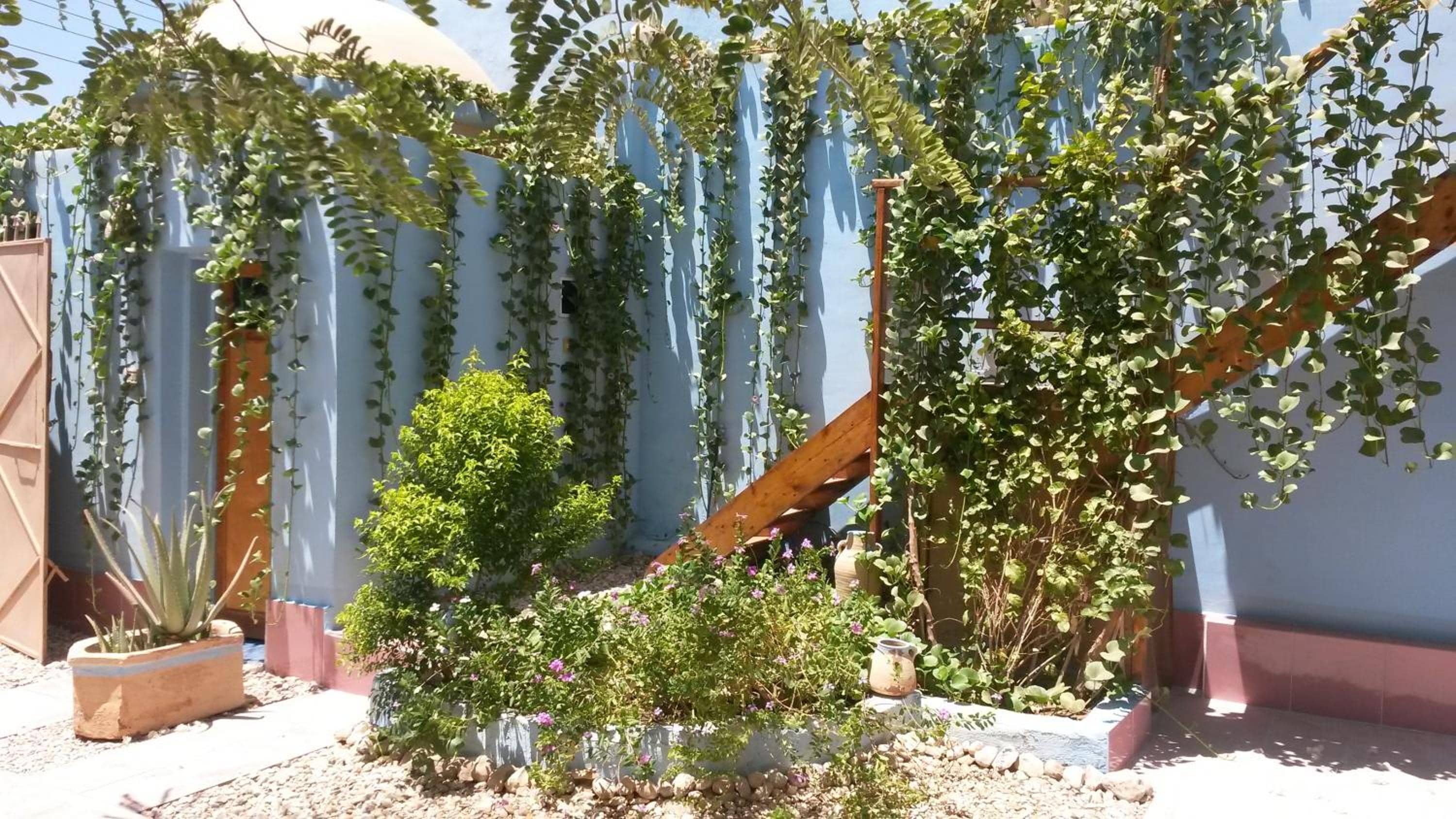 Villa Diletta Luxor — 2