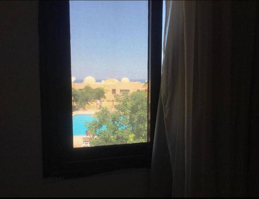 Pool view one bedroom - B203 — 4
