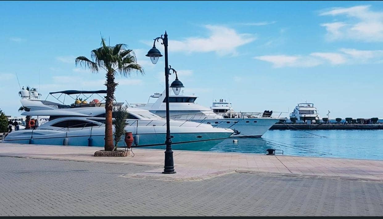 Panda Grey with balcony Hurghada center — 3
