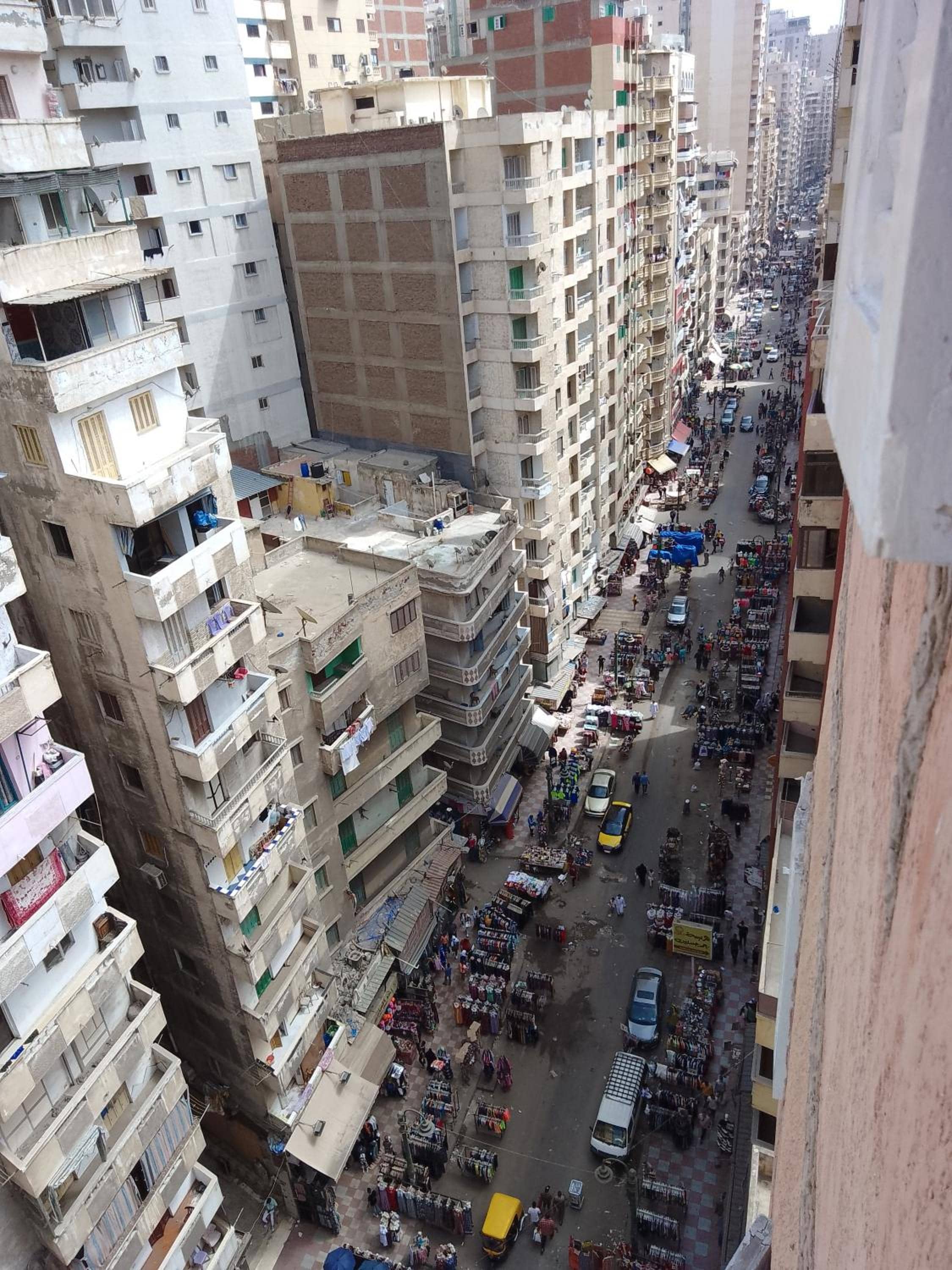 Flamingo Khaled Ibn Elwaleed — 3