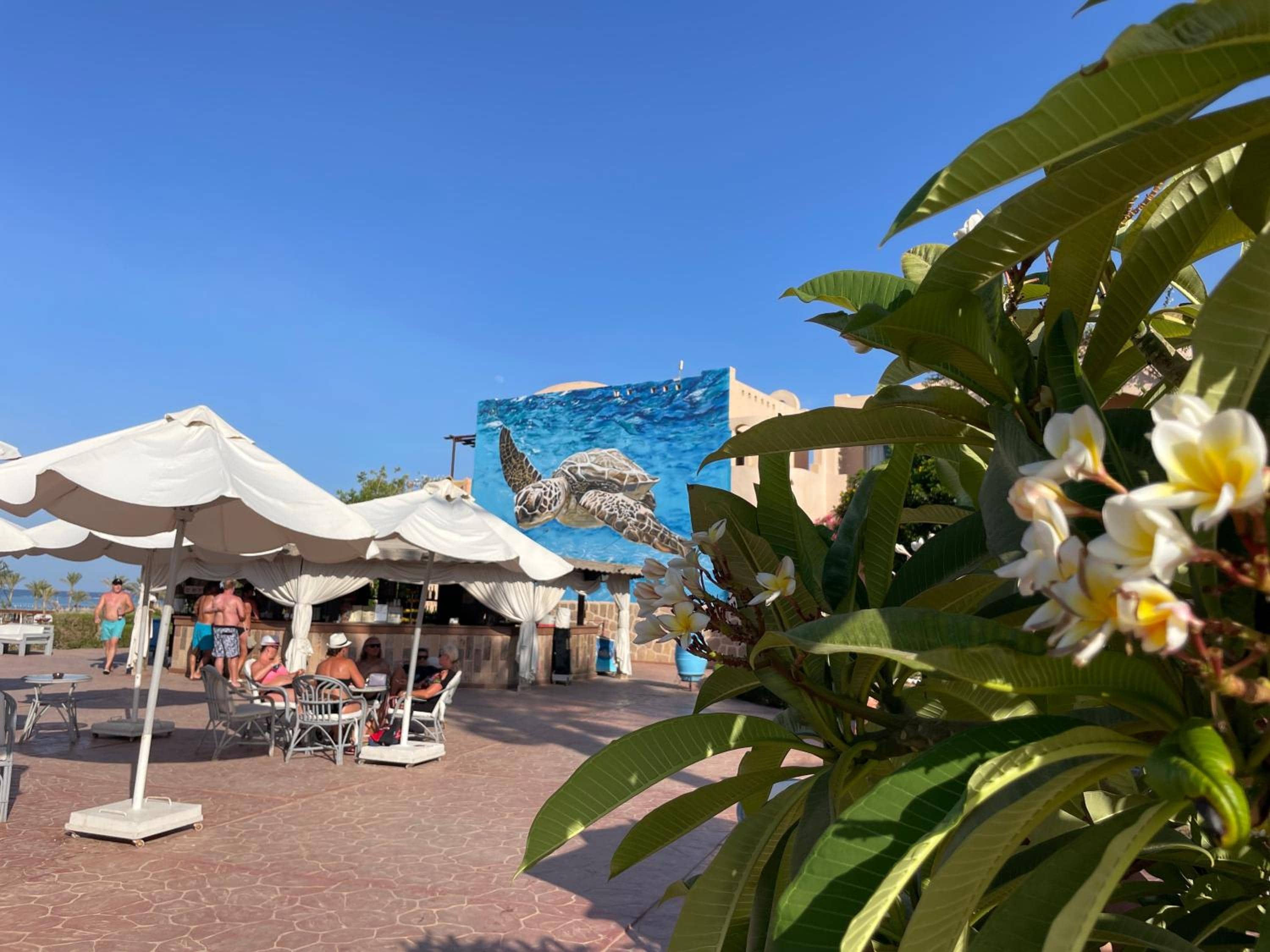 Dream lagoon Resort & Aqua Park — 3