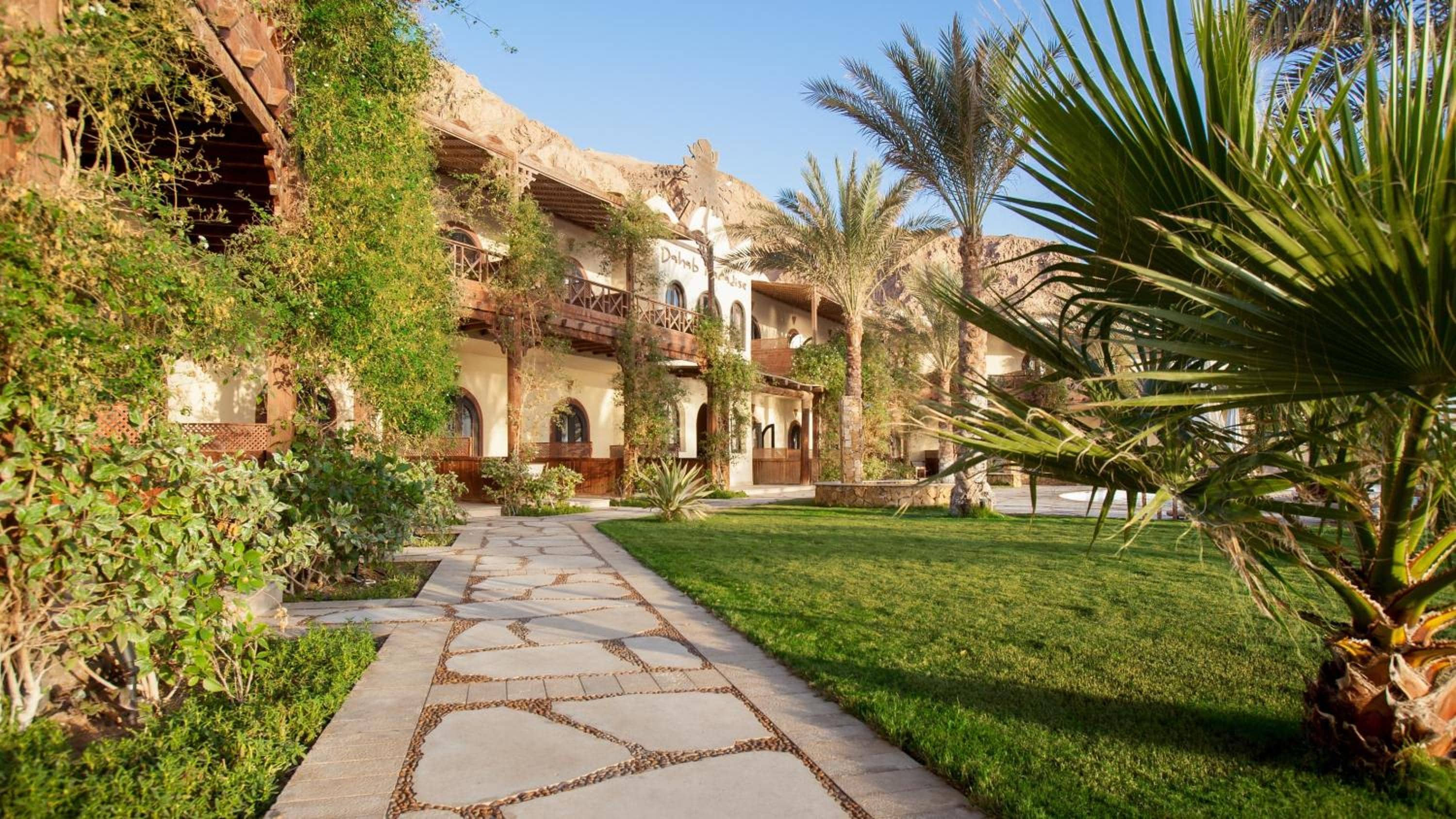 Dahab Paradise