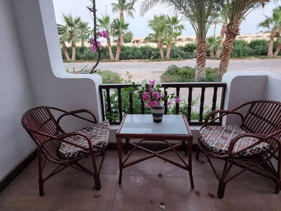 Best studio in Delta Sharm — 4
