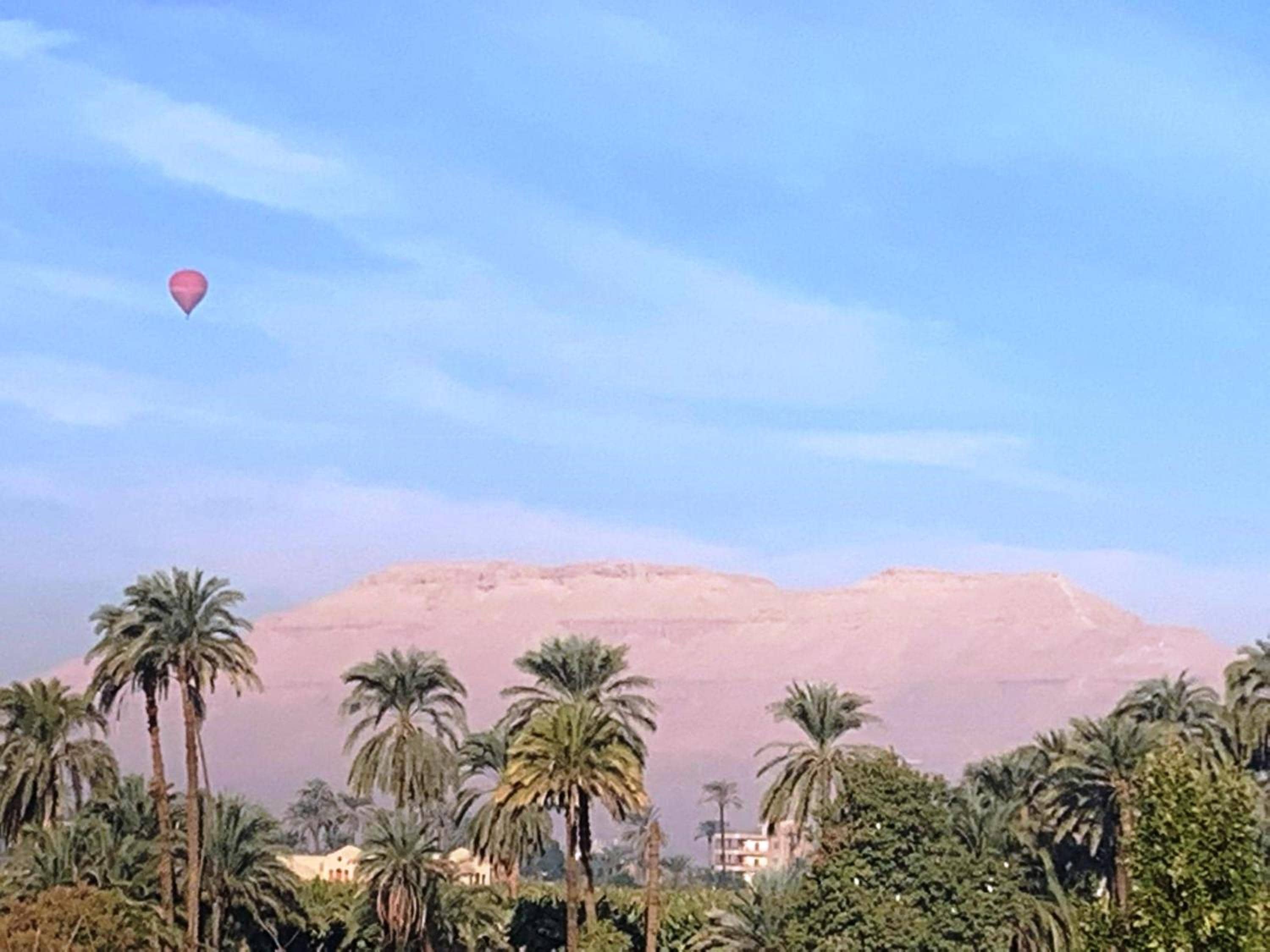 Temple House Luxor — 4