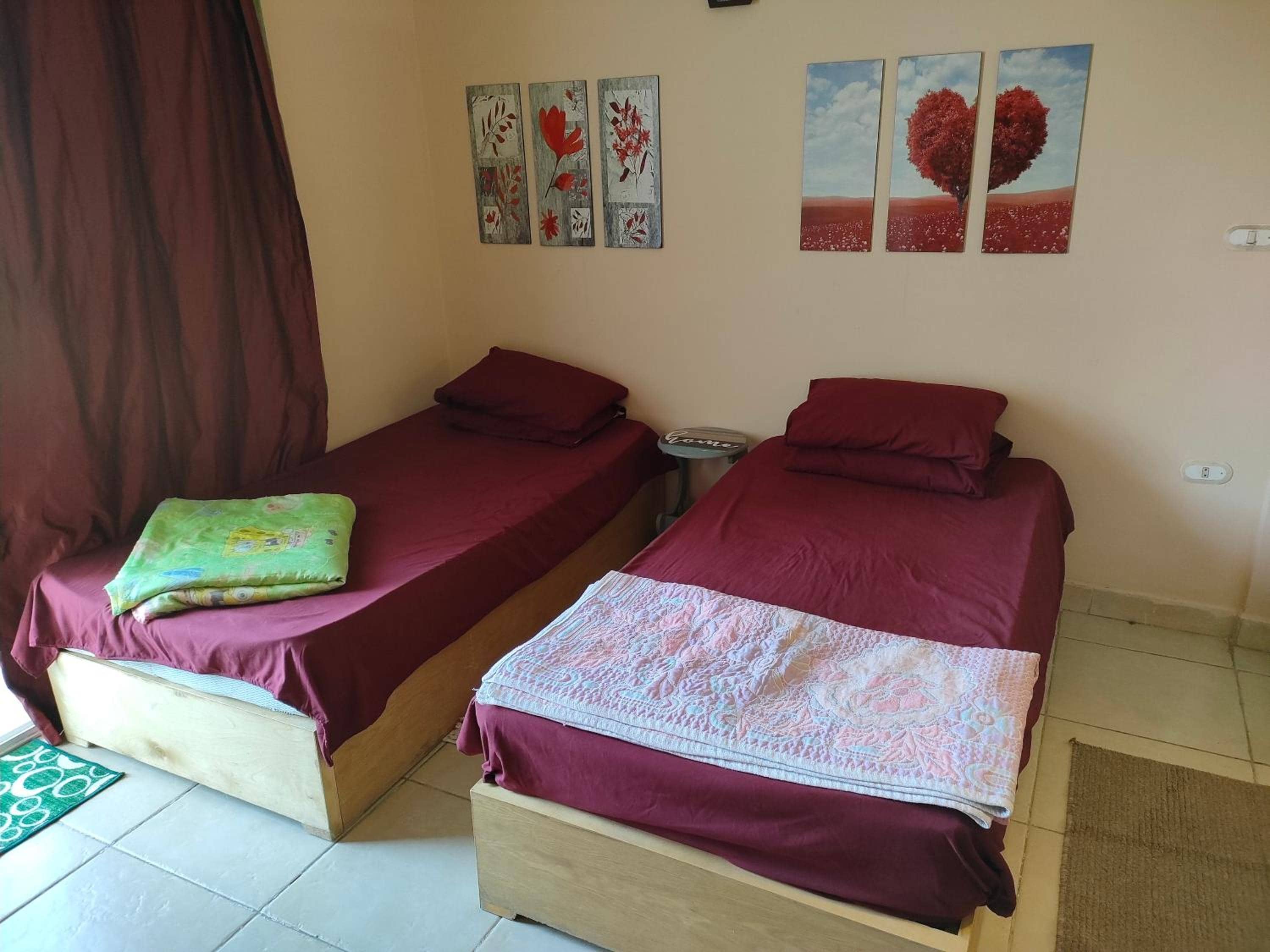 Studio Lotus compound near Touristic Mamsha — 4