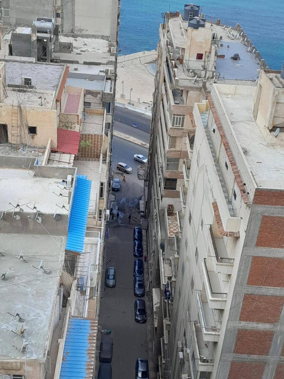 luxury apartment شقه فخمه بالاسكندرية — 3