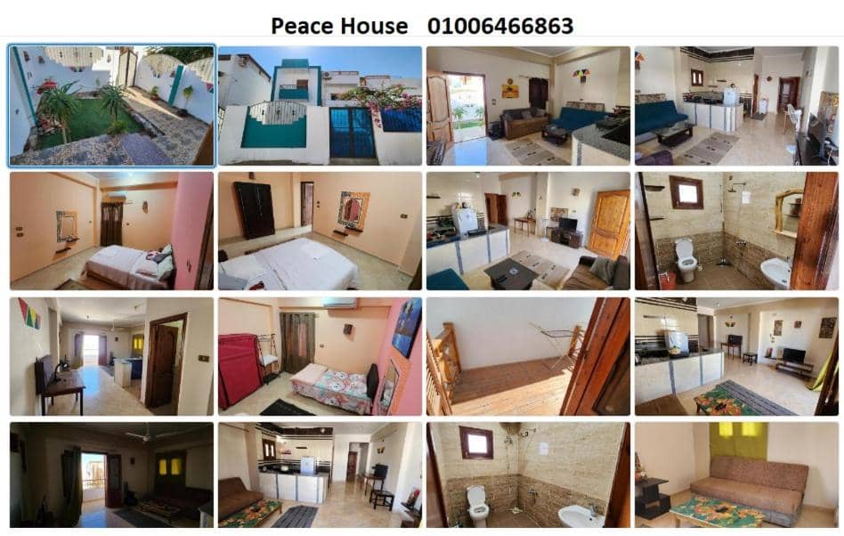 Peace House Dahab — 4
