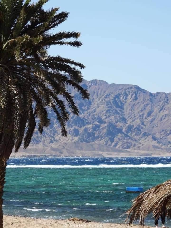 Zarnouk beach house — 5