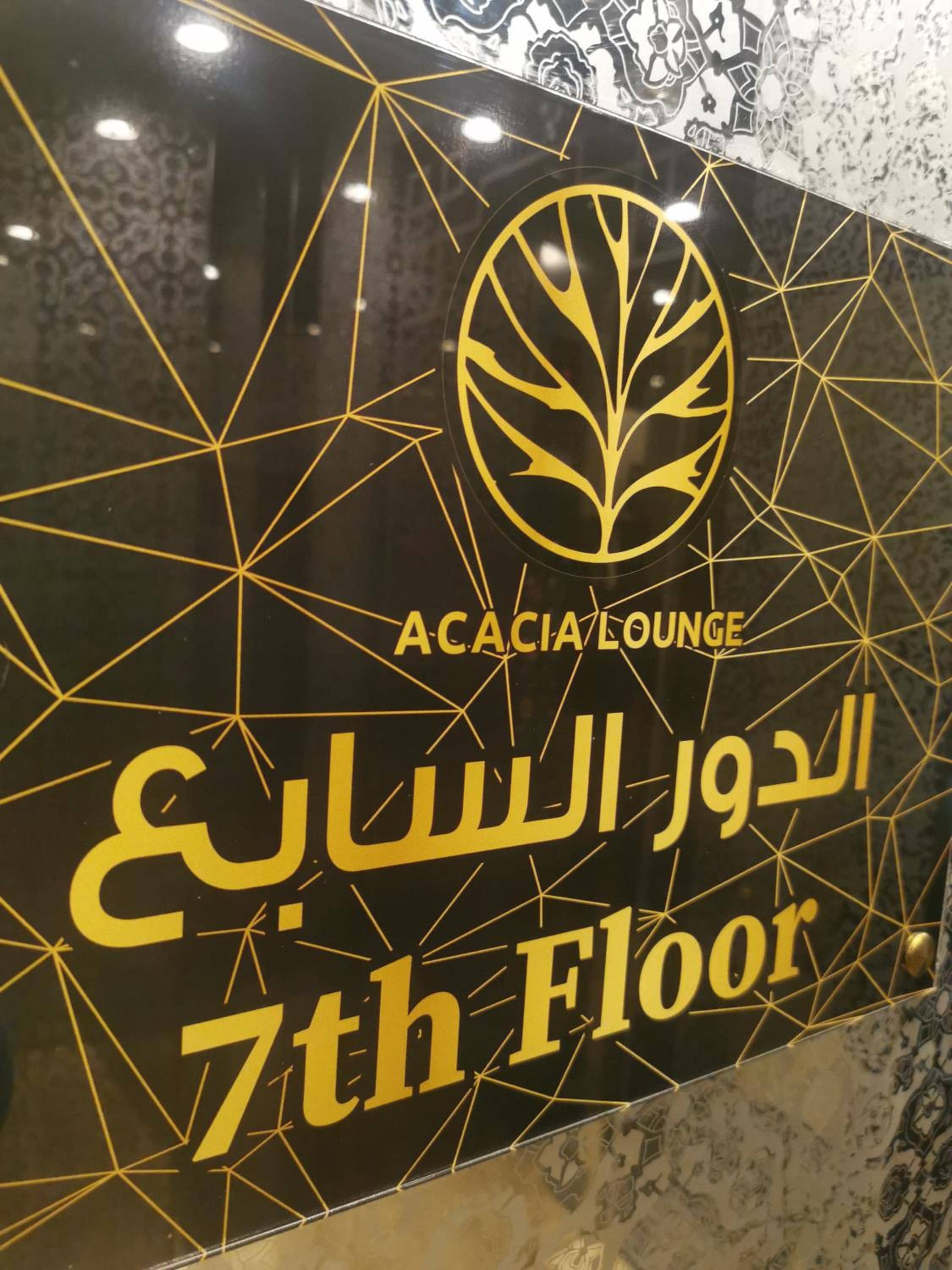 شجرة السنط للشقق المخدومة — 5