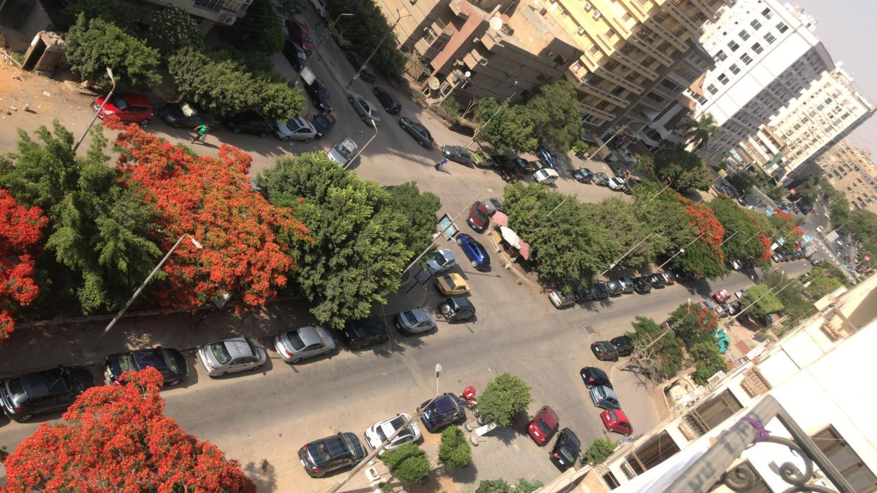Unique apartment in Almaza — 3