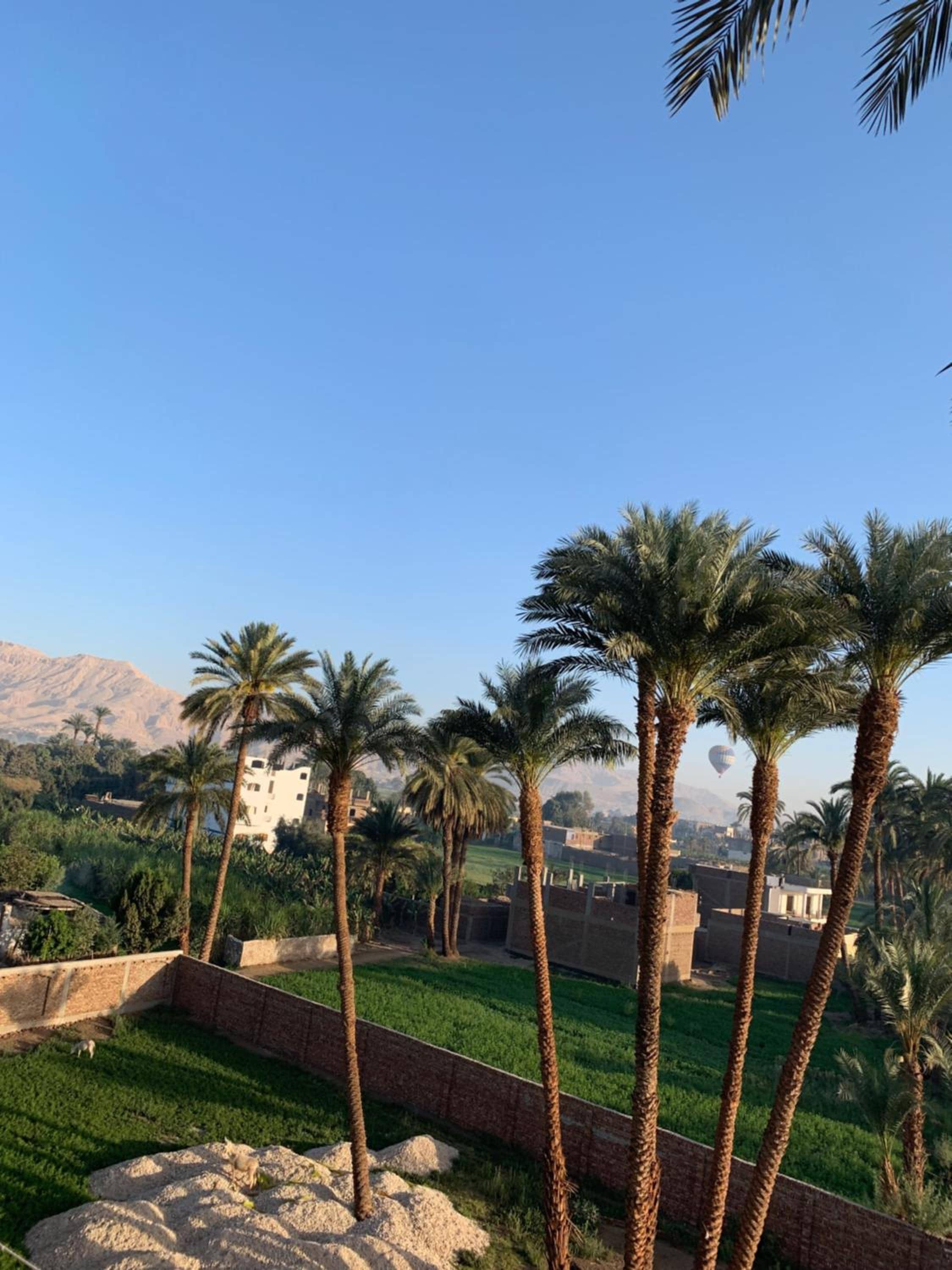 Moon House of Luxor — 2