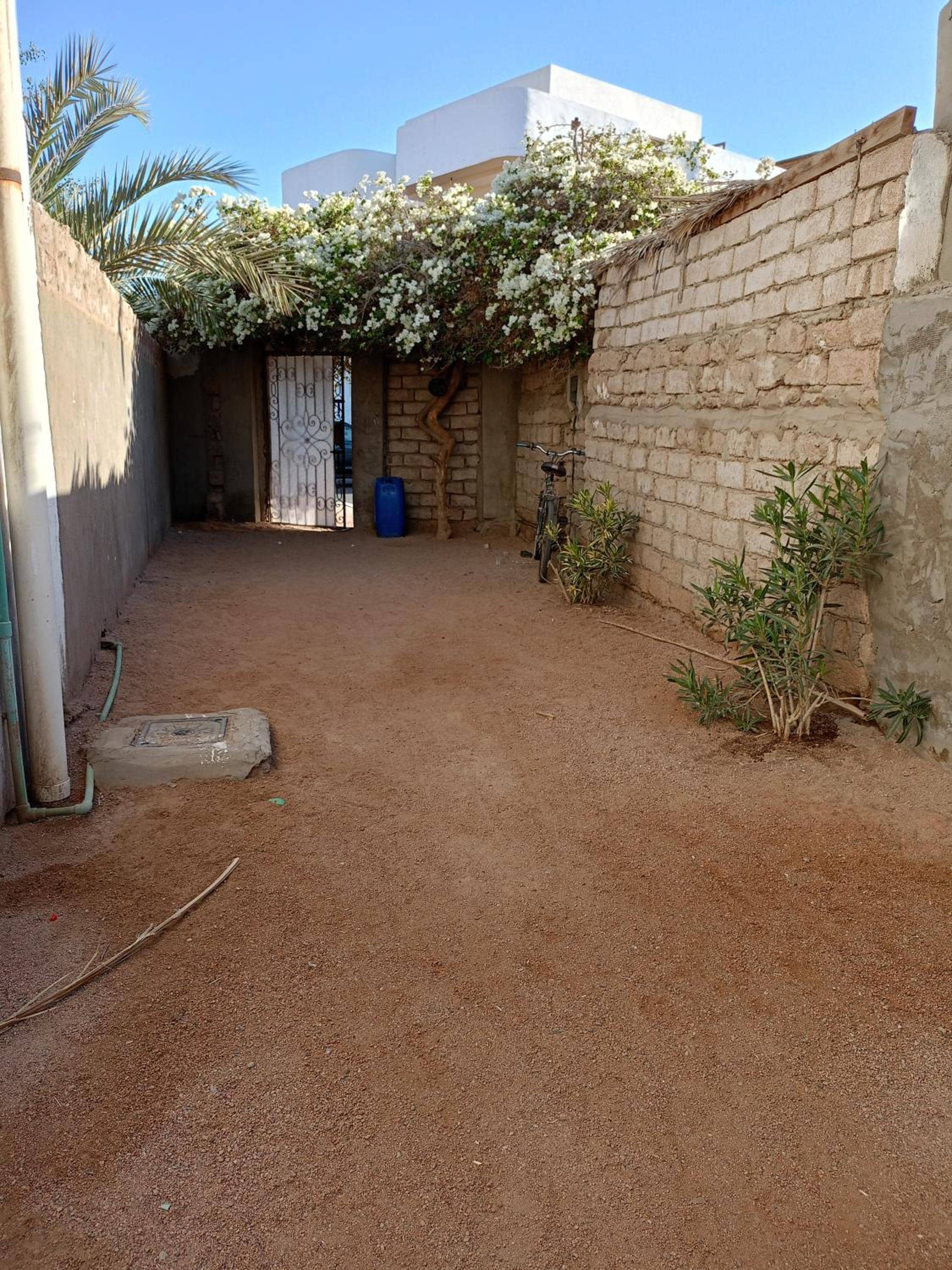 House with backyard in dahab — 4