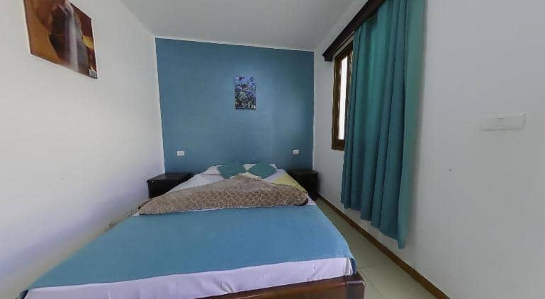 Octopus Hotel — 5