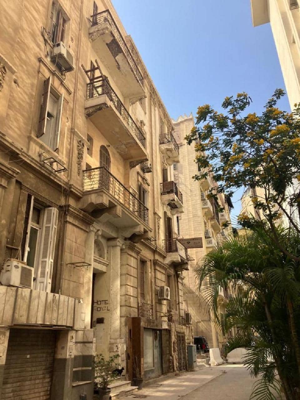 cairo central house — 2