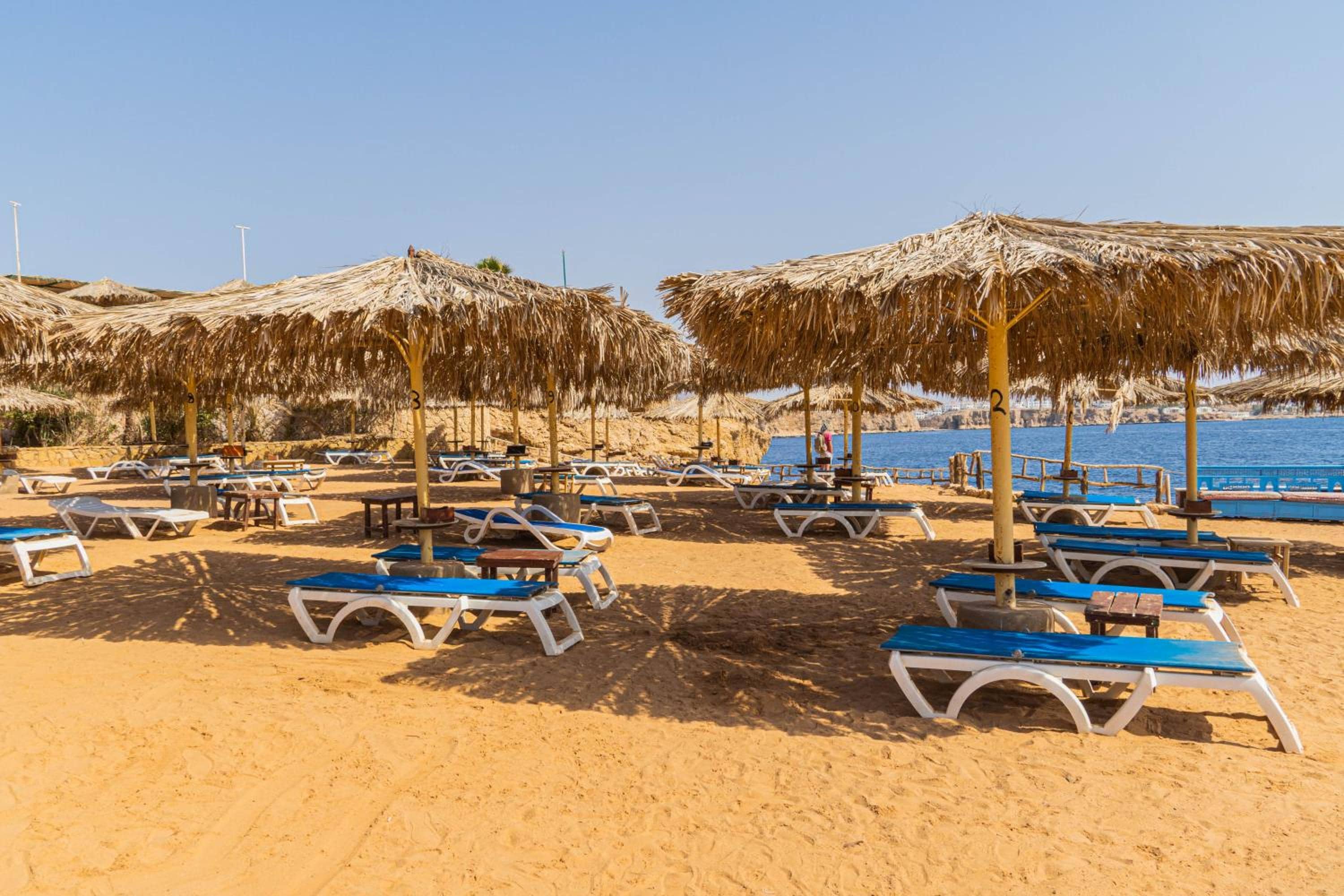 Sharm Reef Hotel — 4