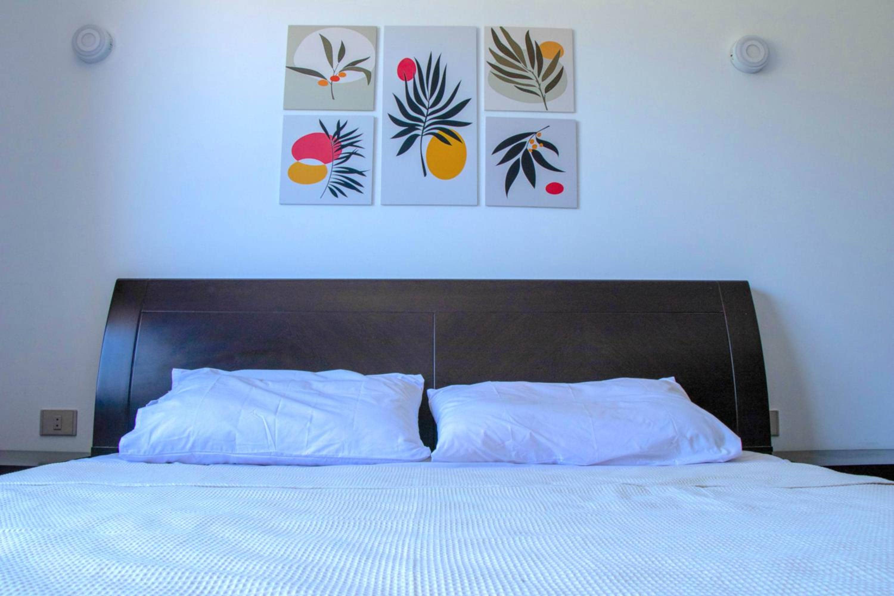 Safty Palm Oasis Private Pool & Beach Access — 5