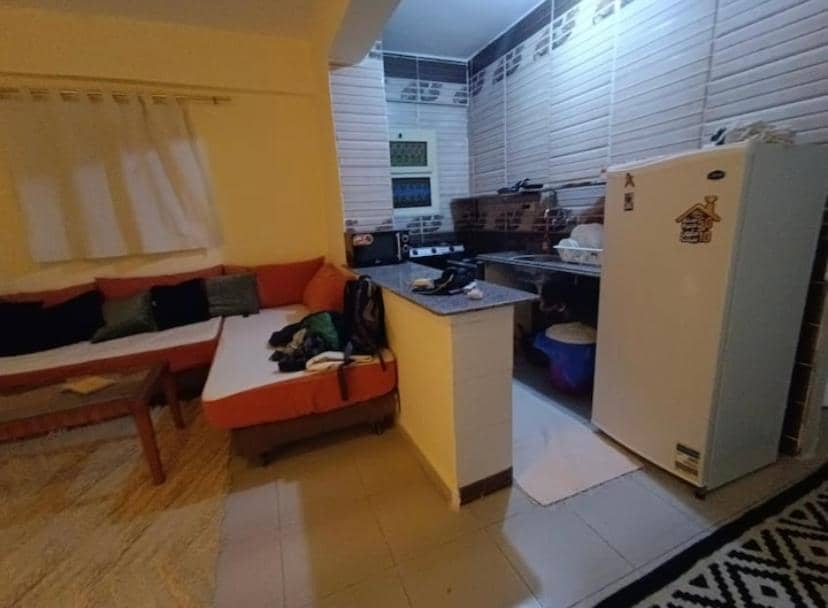 Palm Garden Studio — 3