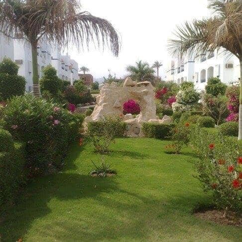 One bedroom apartment in Rivera Sharm — 5