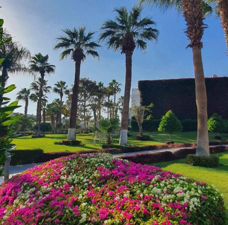 Monte Carlo Sharm Resort & Spa — 4