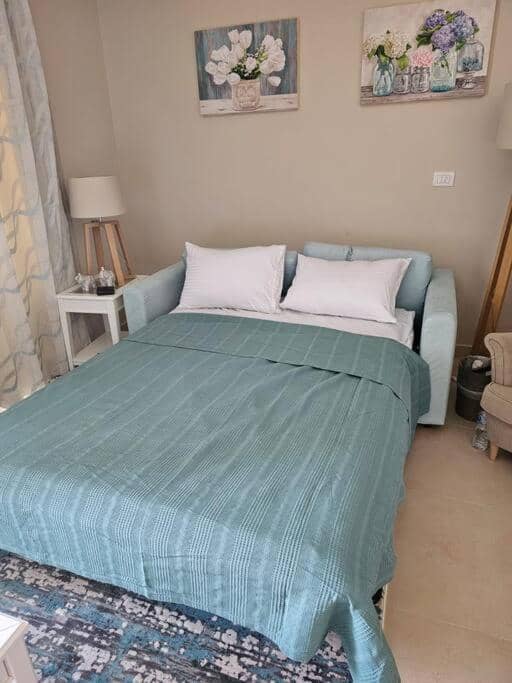Mangroovy- 1BR Bleu Ciel — 4