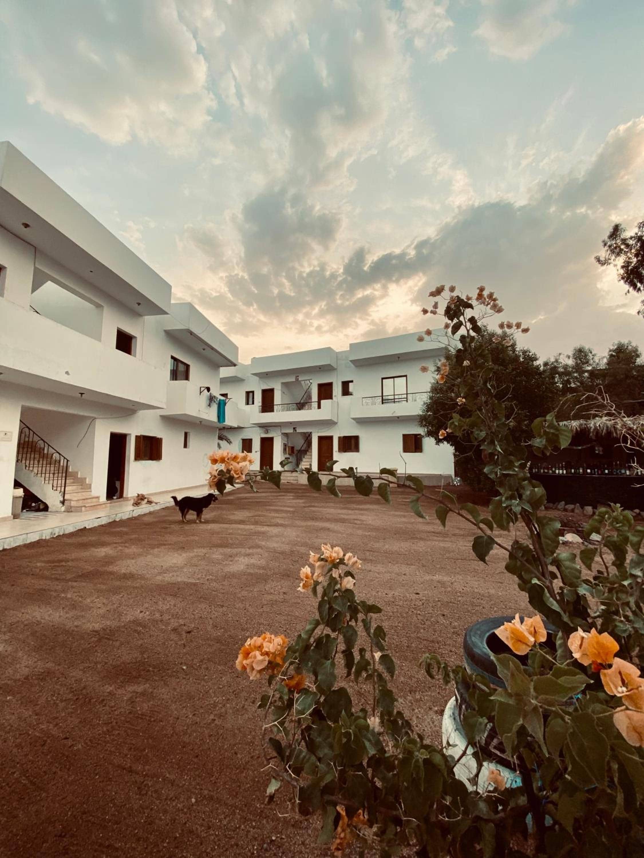Saleh house