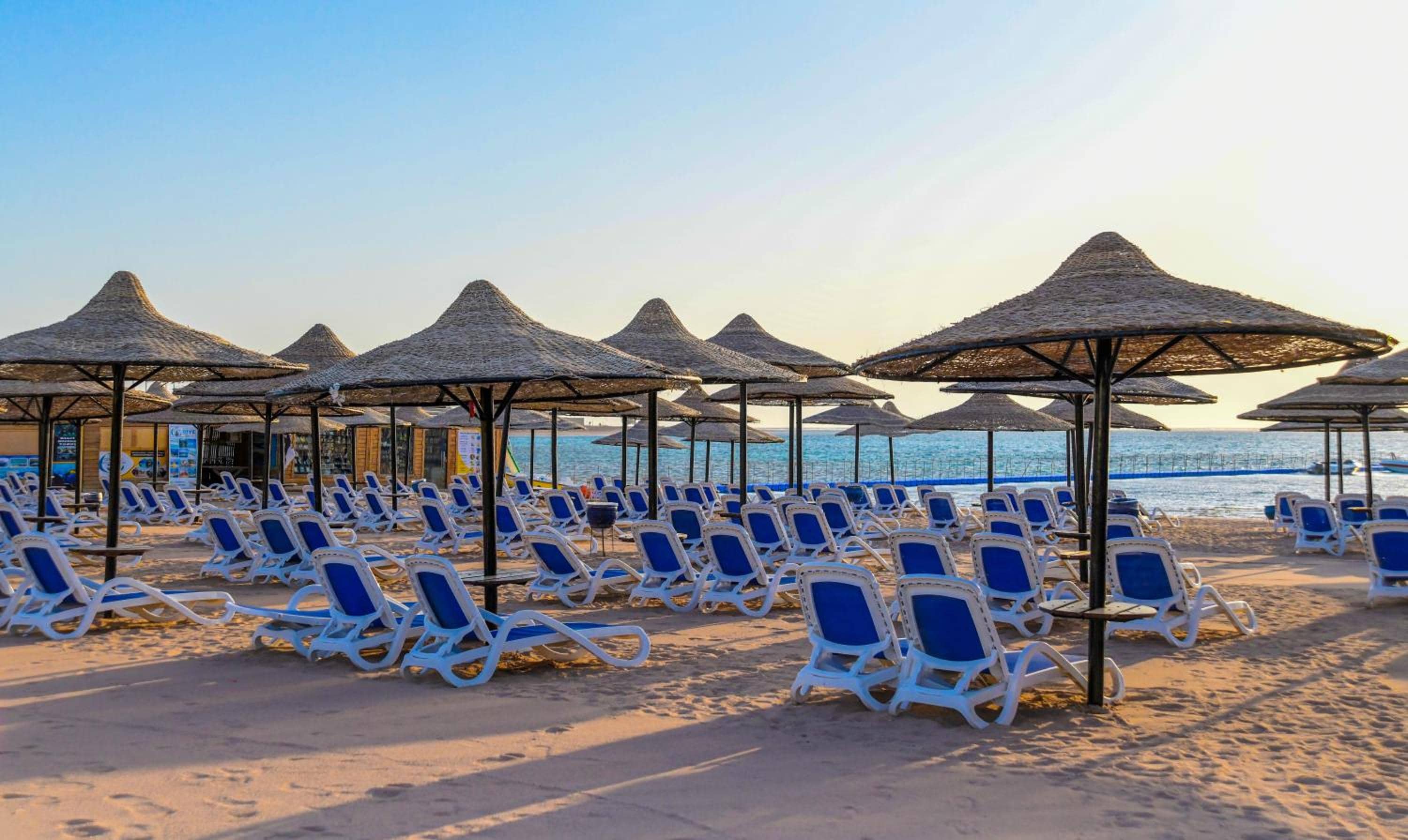 Ivy Cyrene Sharm Resort Adults Friendly Plus 13 — 3