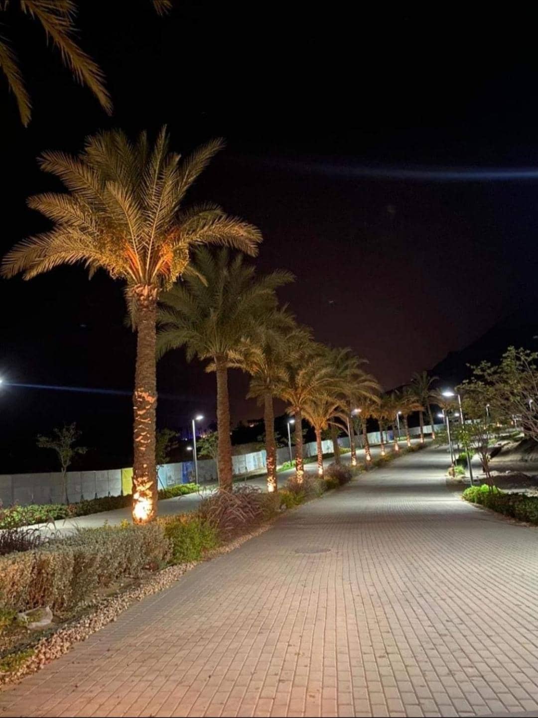 The Groove Ain Sokhna — 5
