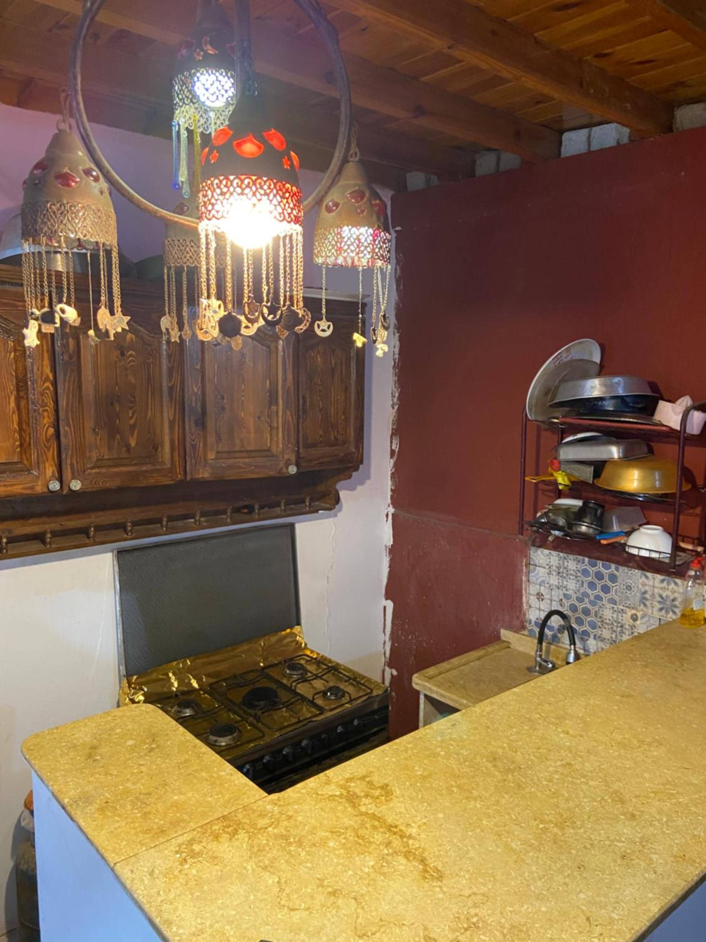 Shark house — 5
