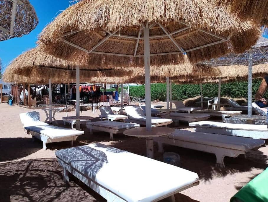 SUNNY BEACH resort apartment for rent in Montazah — 4